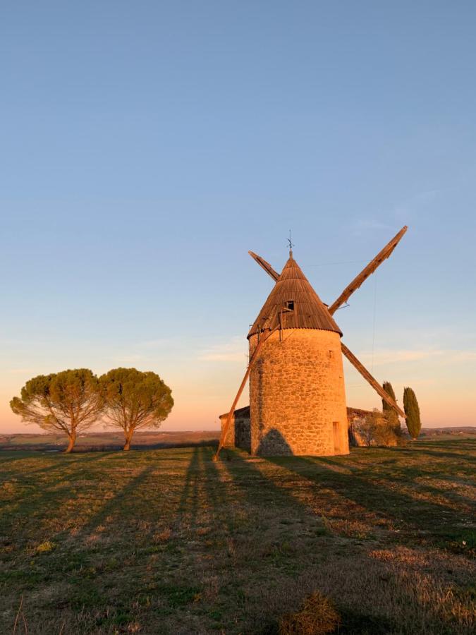 Gîte de charme en pleine campagne. Havre de paix Condom Extérieur photo